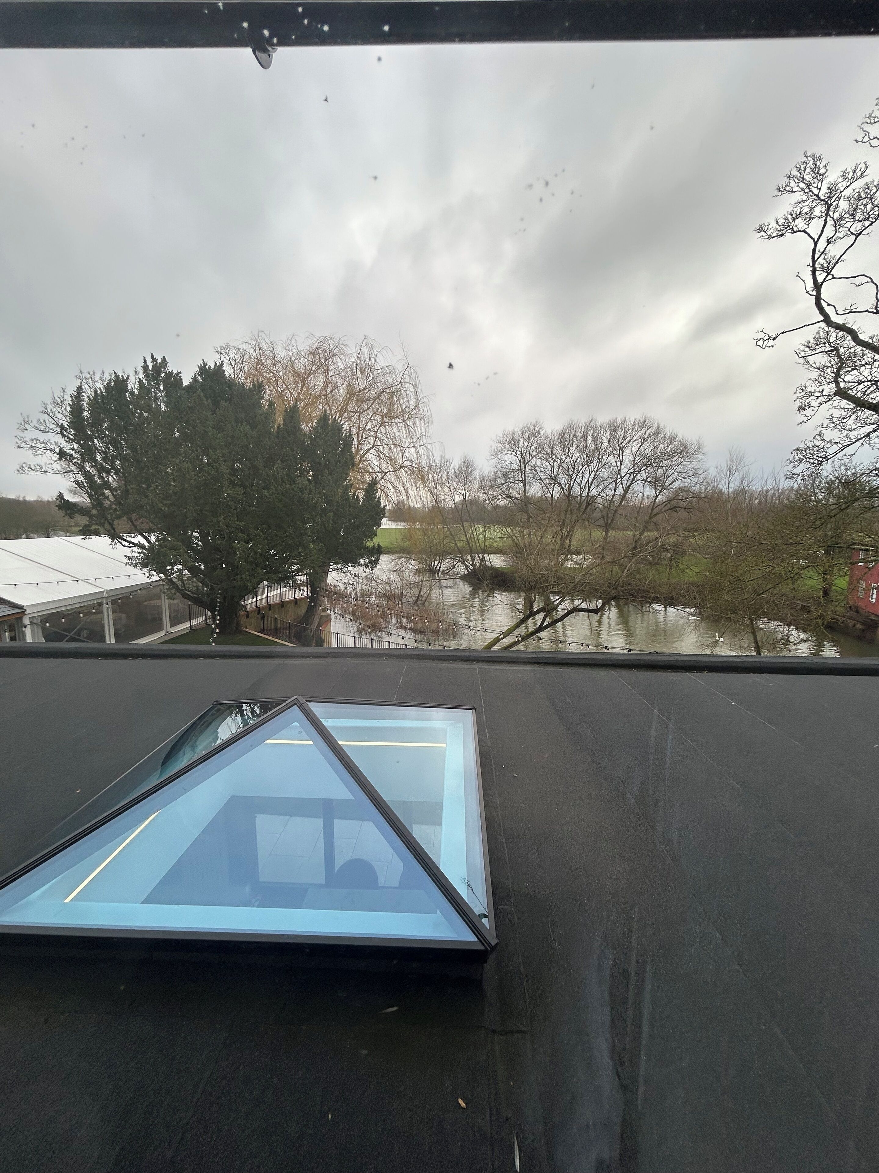 A glass skylight on a roof with a view of a tree and a body of water.