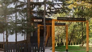 Une structure en bois portant l’inscription « MONTANOVA », avec une enseigne indiquant « ATELIERS DE FABRICATION D’ÉQUIPEMENTS, FRANZ KISSLER » et « DÉDICACÉ À LA DÉTENTE », située dans une zone boisée.