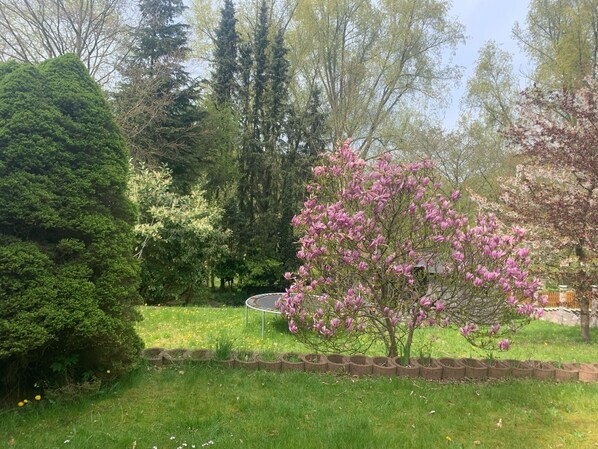 Property grounds - Cozy 2 room apartment with XXL garden in the center of Bad Schwartau, close to the Baltic Sea! (Bad Schwartau)