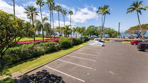 Un parking agrémenté de palmiers et de fleurs, un ciel dégagé et une vue sur l’océan.