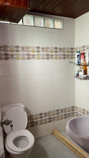 Shower, hair dryer, bidet, towels