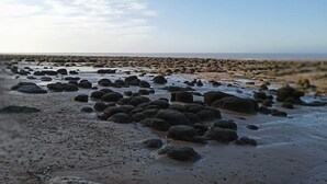 A beach with numerous rocks and pebbles, a clear sky, and a distant horizon. - Family Caravan - Sleeps 6 - Pets Allowed - Pool (King's Lynn)