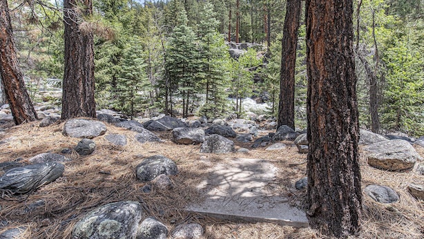 Un área boscosa con un sendero de piedra rodeado de grandes rocas y pinos.