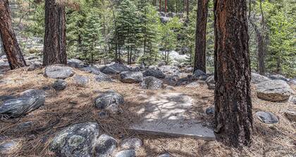 Wilderness Retreat on Bear Creek | Near Vallecito Trail