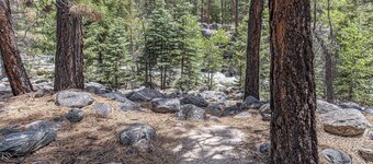 Wilderness Retreat on Bear Creek | Near Vallecito Trail