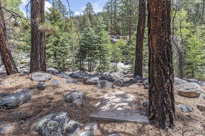 Wilderness Retreat on Bear Creek | Near Vallecito Trail