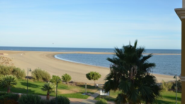 A beach view with a curved shoreline, palm trees, and a clear sky. - LOS CISNES 296 - Three Bedroom Apartment, Sleeps 7 (Punta del moral)