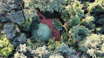 Vista aérea de un edificio rodeado de árboles densos, con una gran estructura en forma de cúpula verde y una zona de terraza de madera.