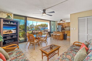 TV, DVD player, books, video library