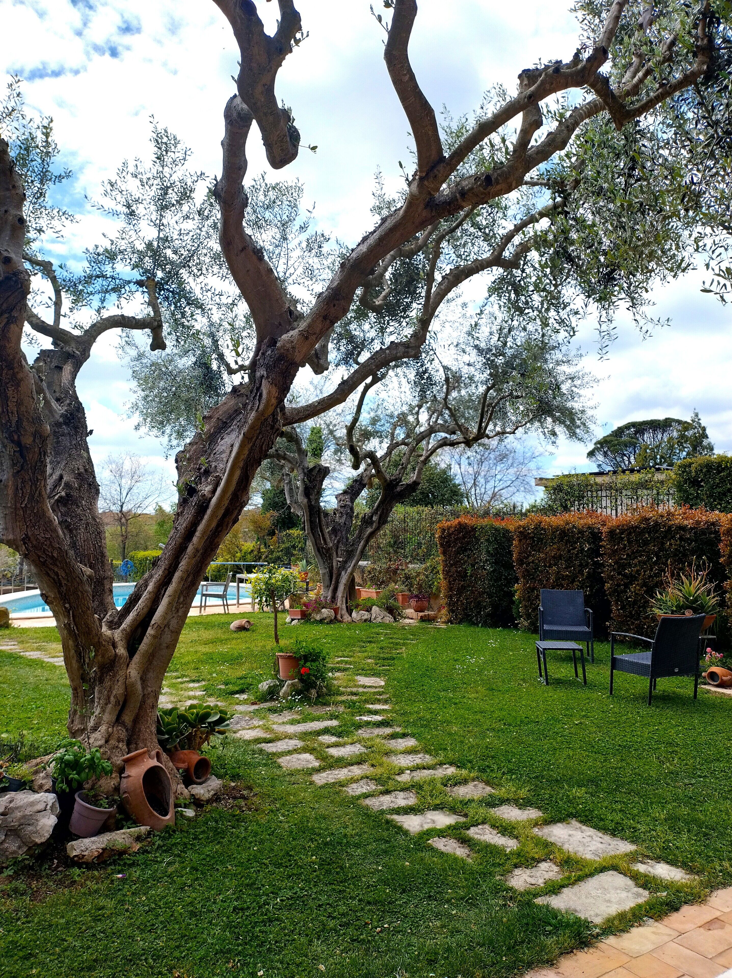 Jardín