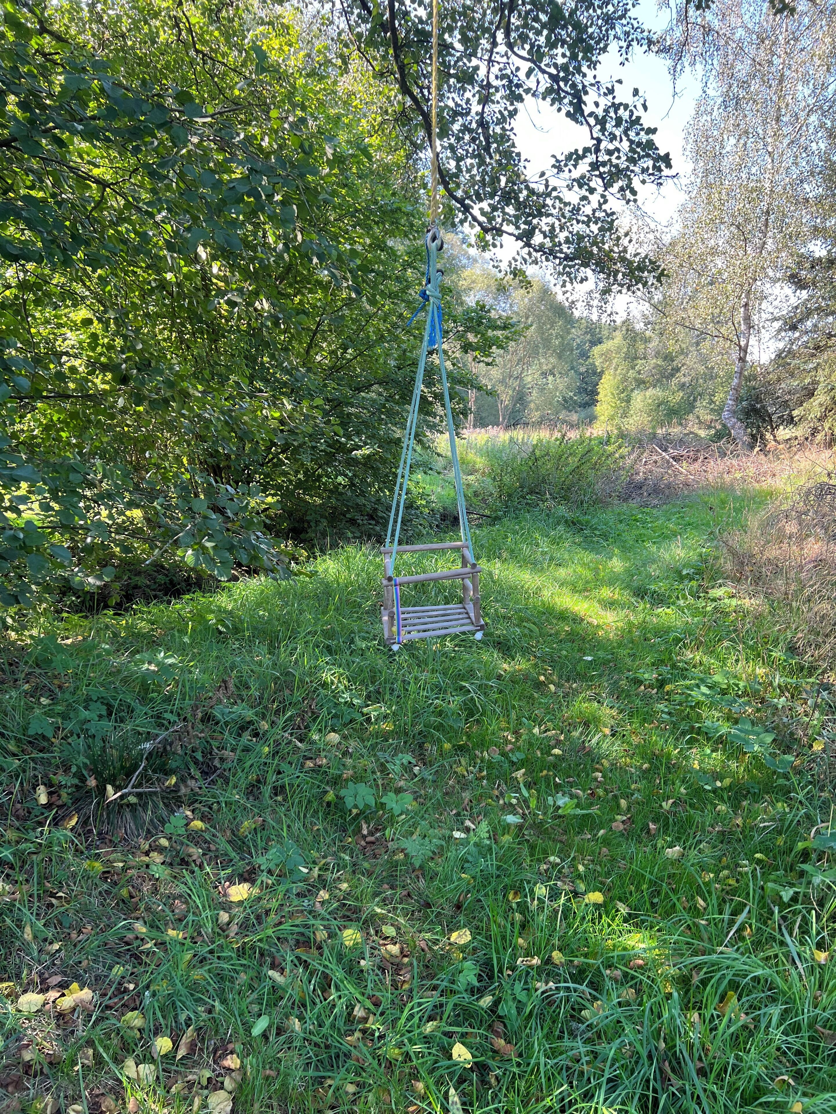 Eine Schaukel auf einer grünen Wiese, im Hintergrund Bäume.