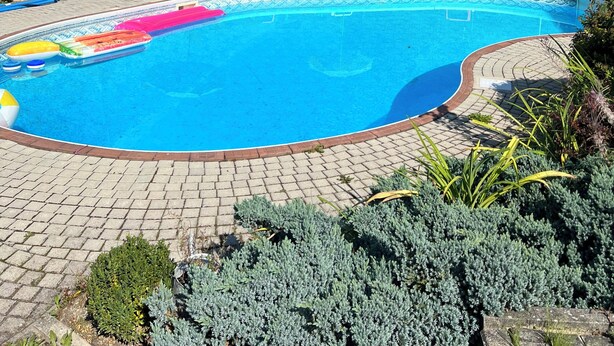 A swimming pool with lounge chairs and umbrellas, surrounded by greenery.