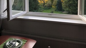 A room with a skylight window overlooking a forested area.