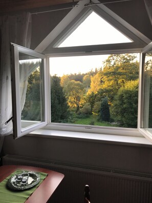 Interior - Comfortable 3 bedroom apartment in the charming house 10 km from Karlovy Vary (Stružná)