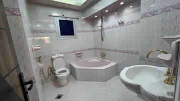 Combined shower/bathtub, free toiletries, hair dryer, towels