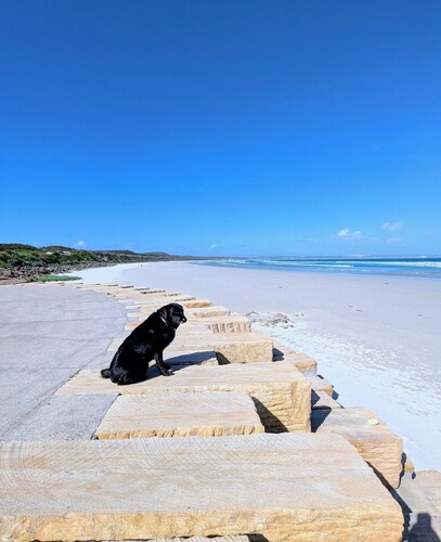 Central granny flat, a short walk to the beach, cafes and town centre.