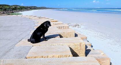 Central granny flat, a short walk to the beach, cafes and town centre.