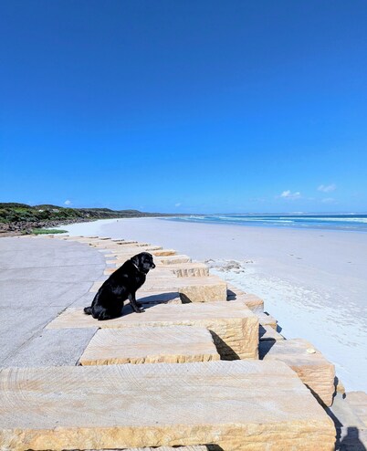 Central granny flat, a short walk to the beach, cafes and town centre.