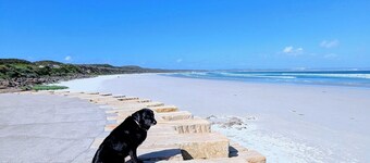 Central granny flat, a short walk to the beach, cafes and town centre.