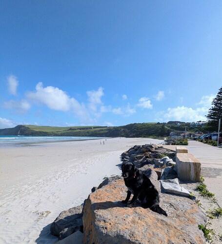 Central granny flat, a short walk to the beach, cafes and town centre.