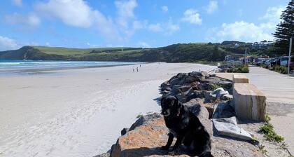 Central granny flat, a short walk to the beach, cafes and town centre.