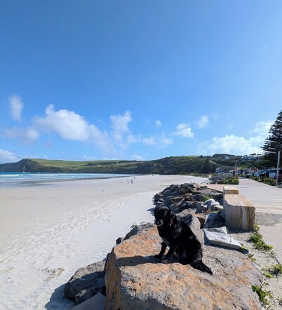 Central granny flat, a short walk to the beach, cafes and town centre.