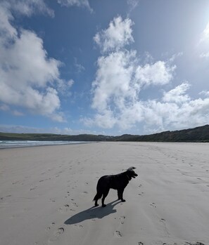 Beach nearby - Central granny flat, a short walk to the beach, cafes and town centre. (Portland)