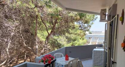 Beachfront apartment beach below