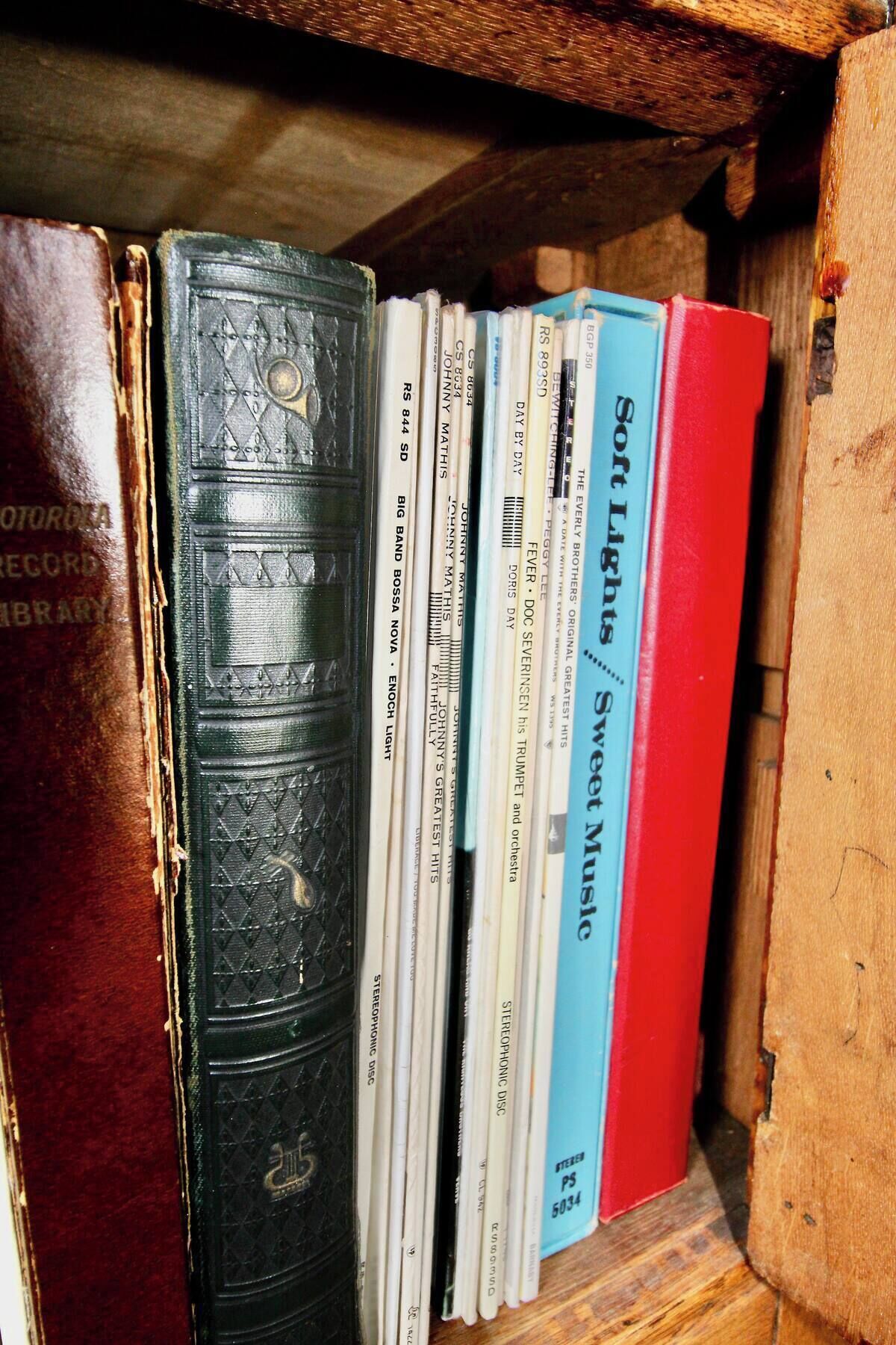 Una selecció de discos de vinil exposats a l'estant.