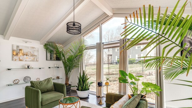 A modern living room with a green sofa, a coffee table, and various plants. There are large windows providing a view of the outside. - 4 Mi to Wku: Hilltopper's Hideaway w/ Grills! (Bowling Green)