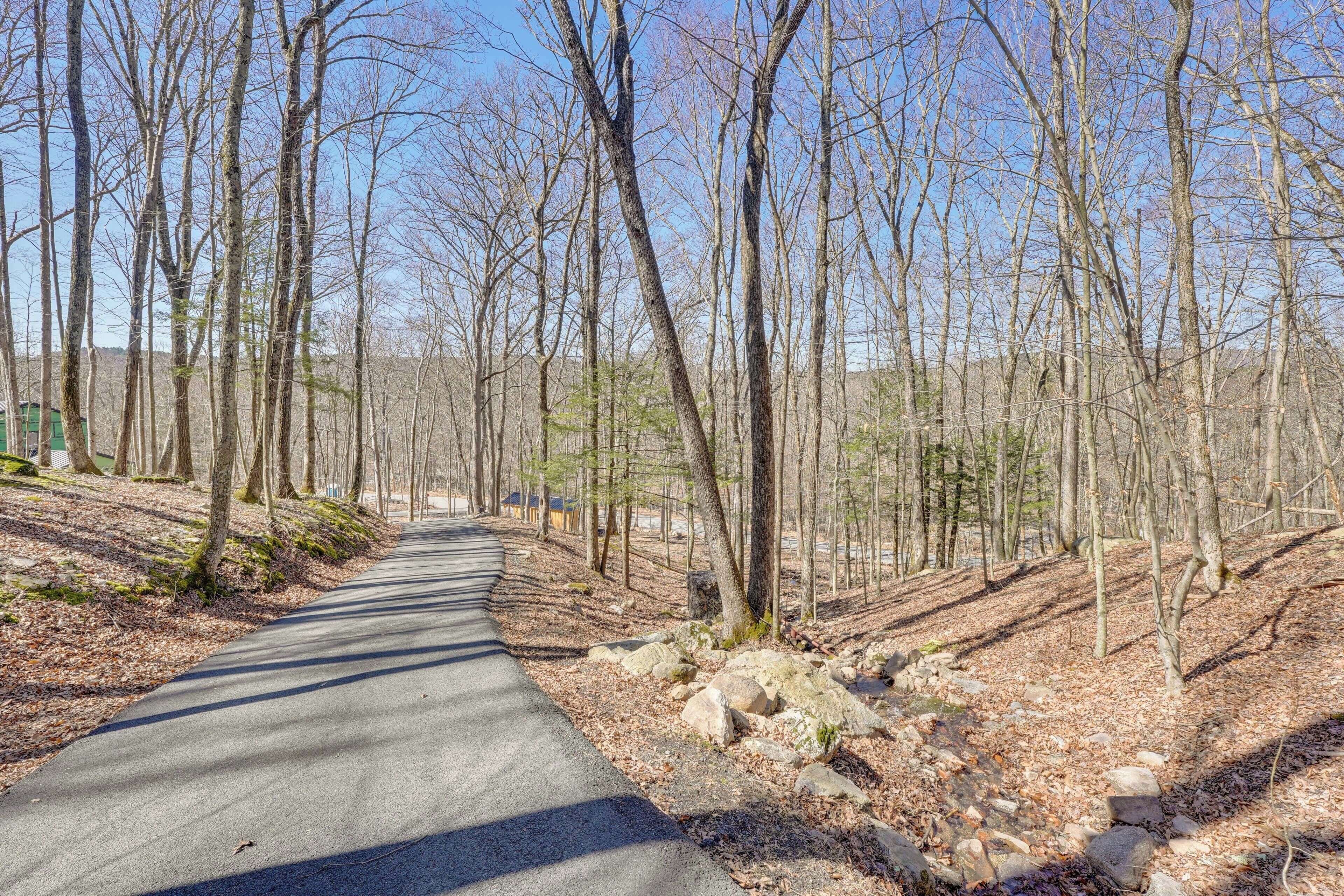 A paved path through a wooded area with trees and rocks.