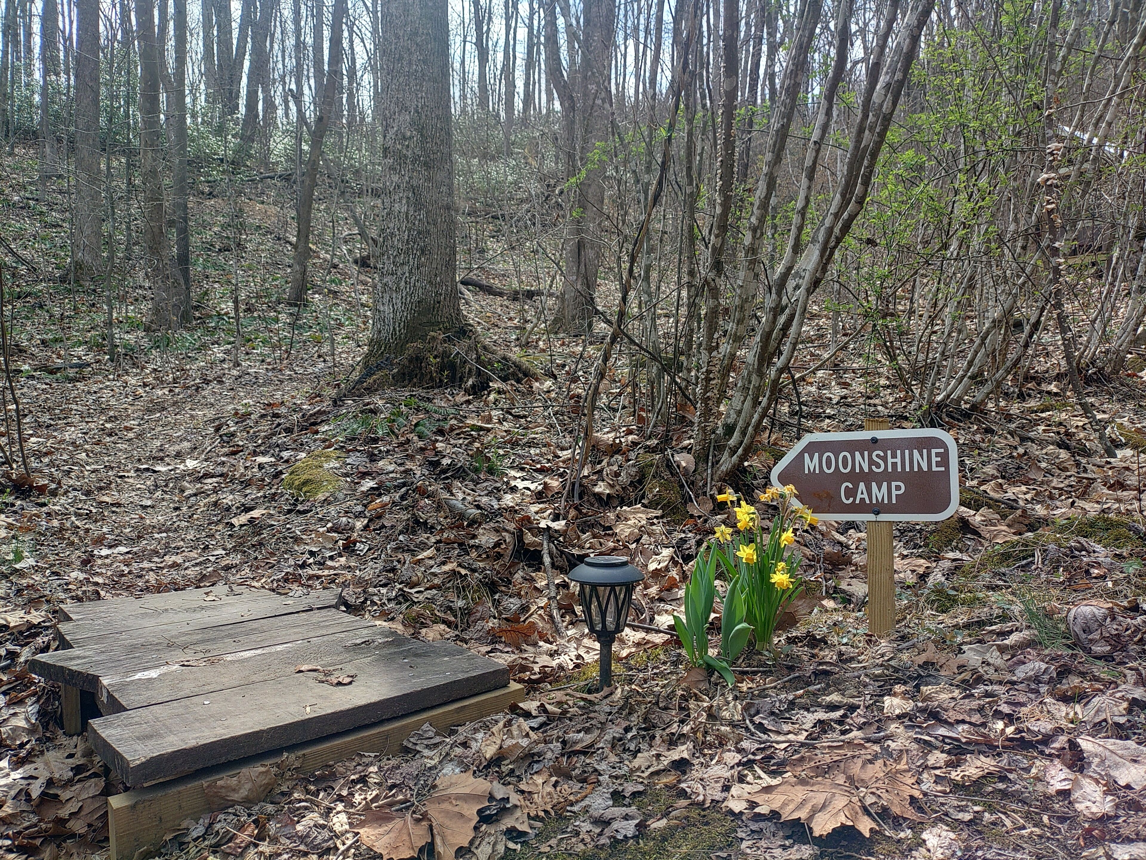 A wooden platform with a sign reading "Moonshine Camp" surrounded by a forest.