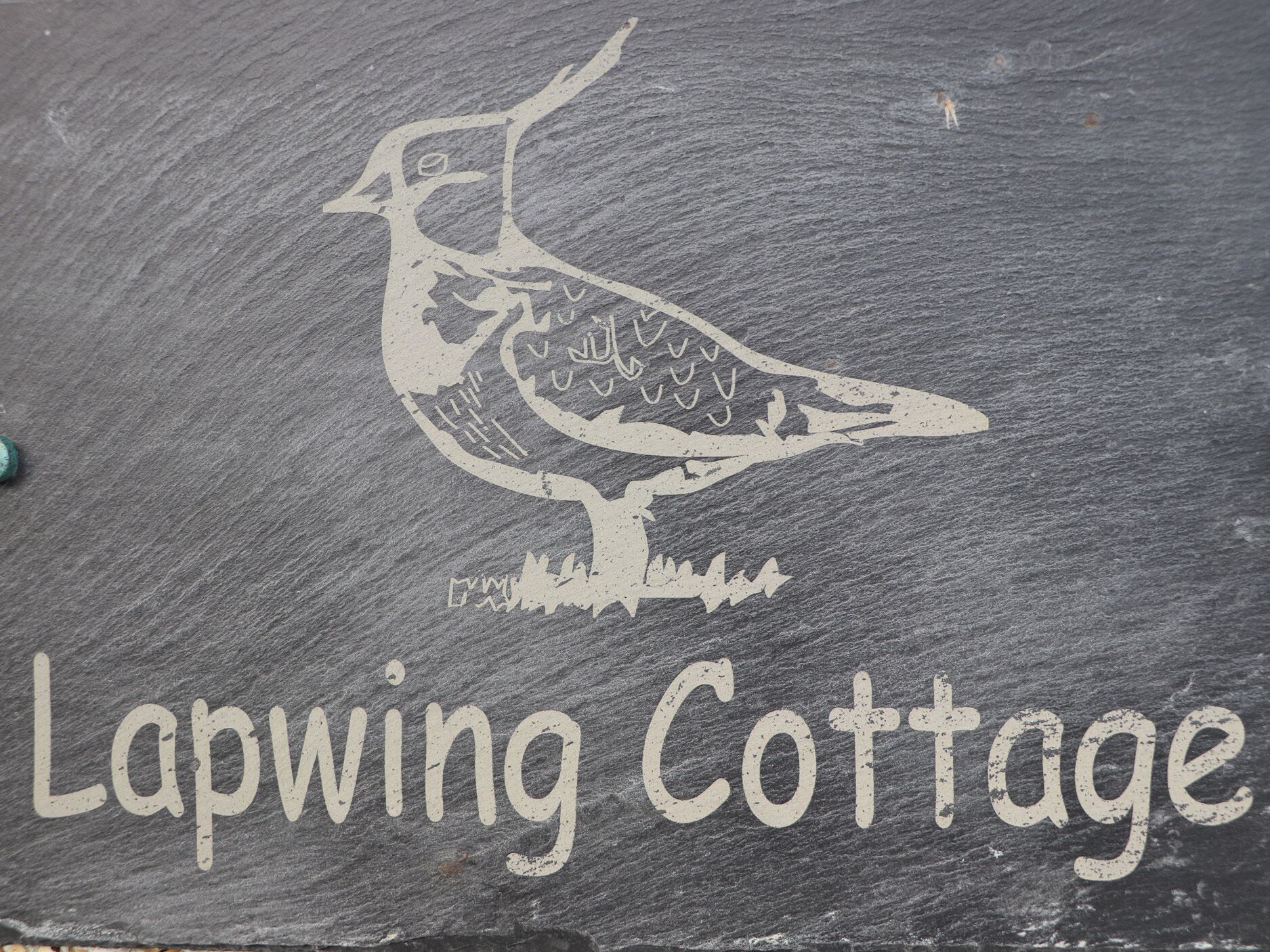 Een schoolbord met een tekening van een veldleeuwerik en de tekst 'Lapwing Cottage'.