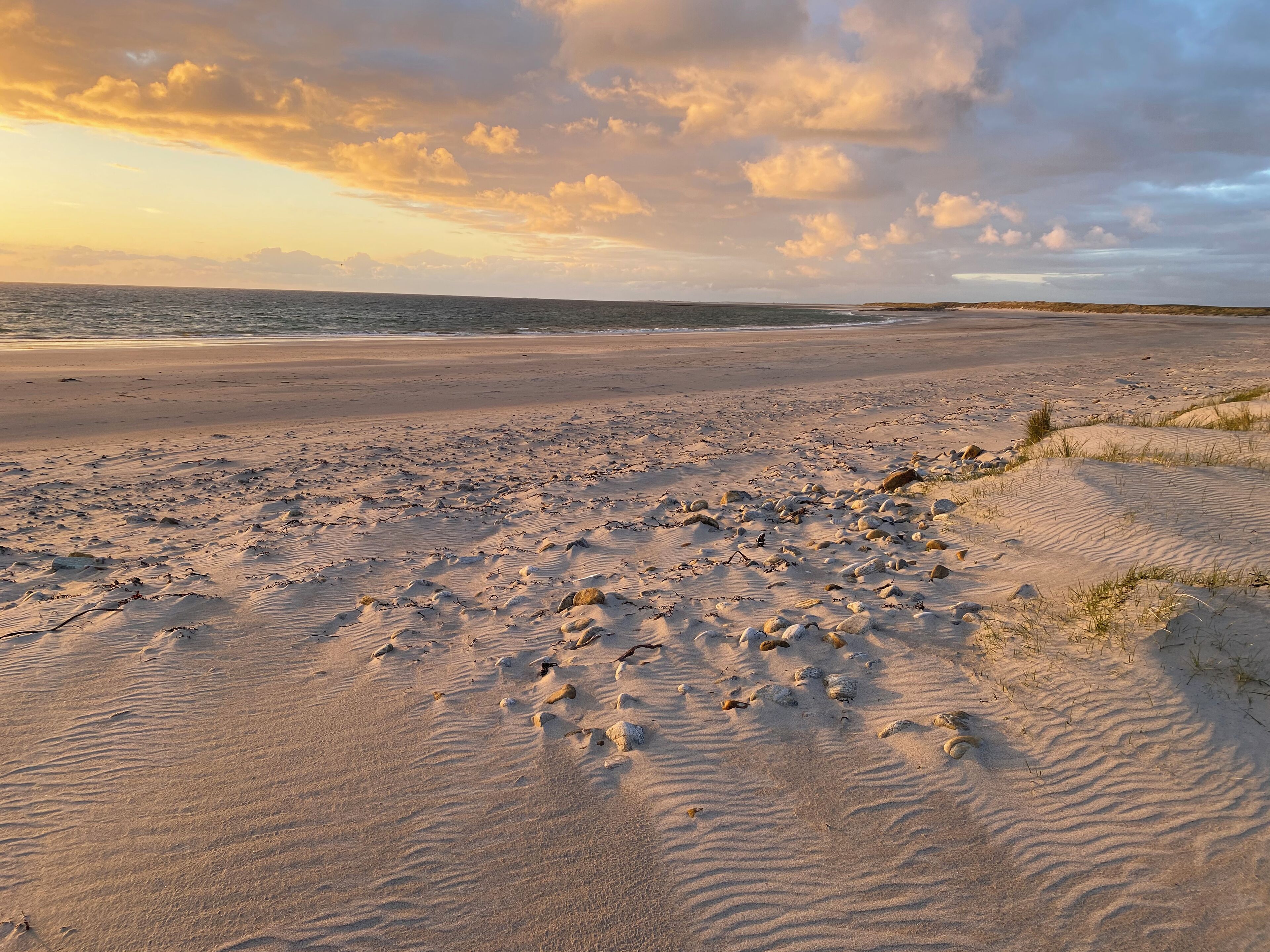 Une plage parsemée d'empreintes et de motifs ondulés dans le sable, un ciel dégagé et une côte lointaine.