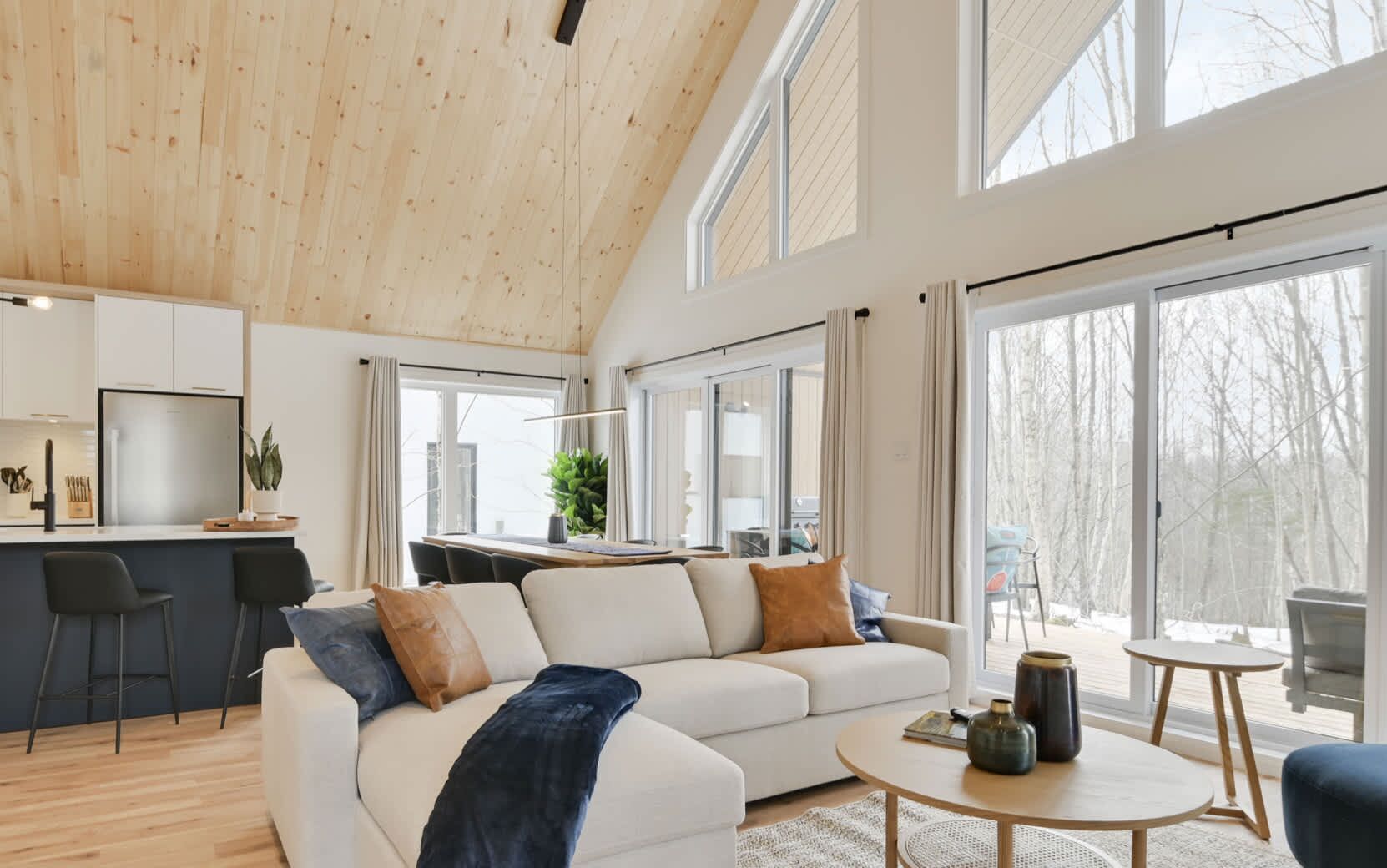 电视、壁炉、办公室