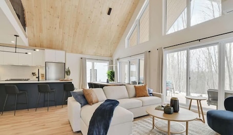 TV, fireplace, offices. Trinity - Family Comfort Getaway - Spa & Nature