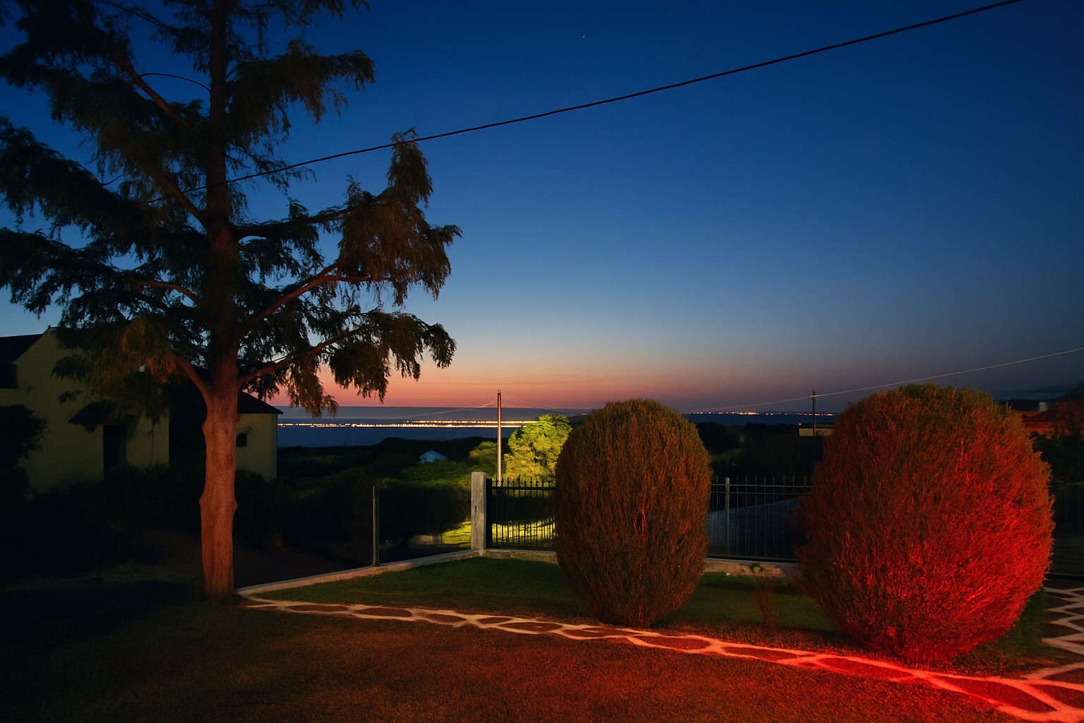 A landscaped area with a tree, a hedge, and a pathway.