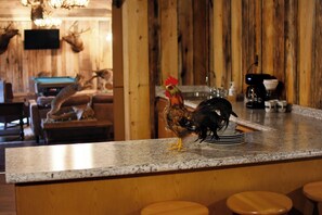 Interior - Charming 3-bedroom rustic cabin with WiFi in wonderful Williamsburg (Williamsburg)