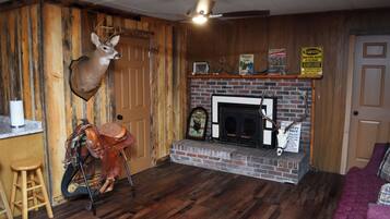 Smart TV, fireplace, books, music library