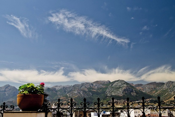 View from property