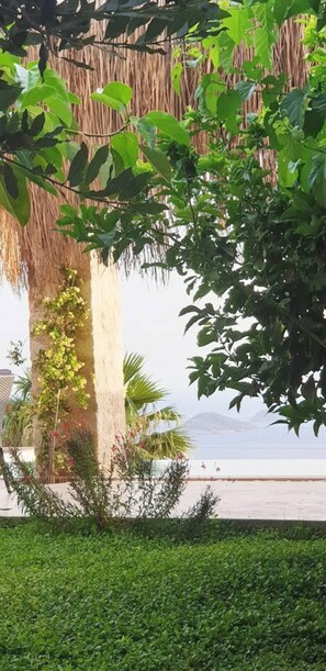 Jardines del alojamiento