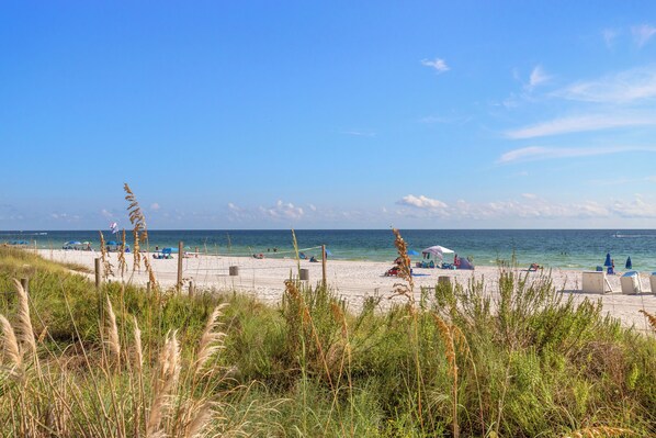 Tæt på stranden