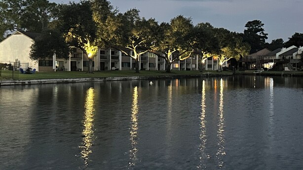 A lakeside view of a residential area with buildings and trees.