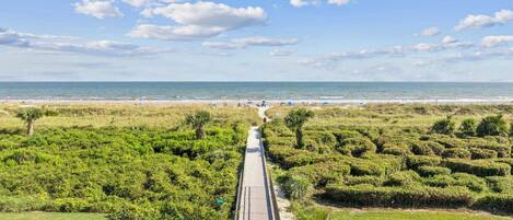 Playa en los alrededores