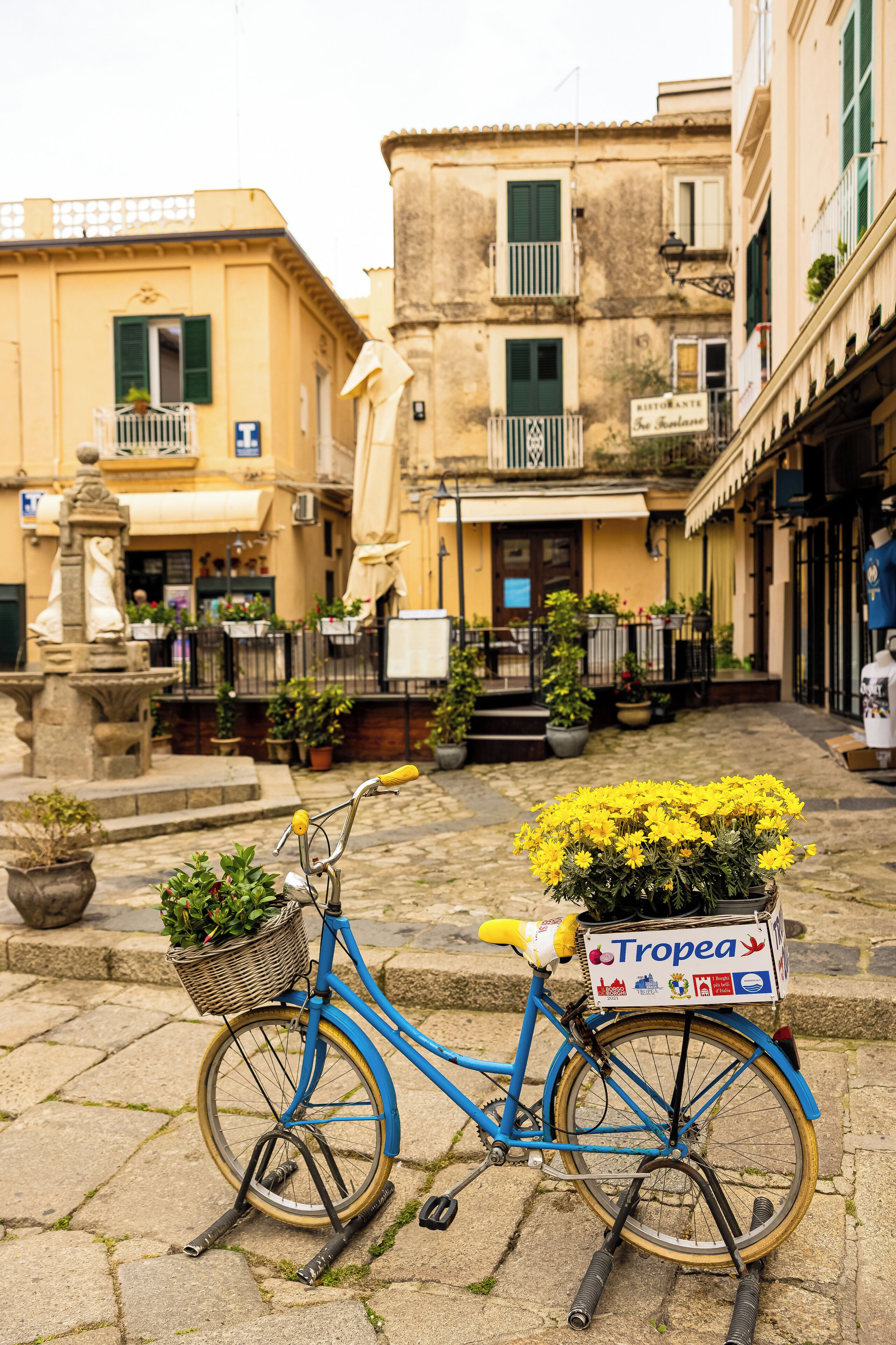 Un vélo bleu, muni d’un panier rempli de fleurs et d’une pancarte indiquant « Tropea », est garé dans une rue pavée.