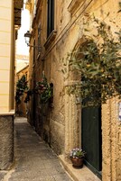 Una estrecha calle con edificios de piedra, una puerta verde y macetas con flores colgantes.