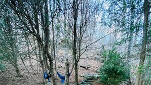 Un bain à remous situé dans un espace boisé, agrémenté d’un hamac et d’un sentier en pierre.