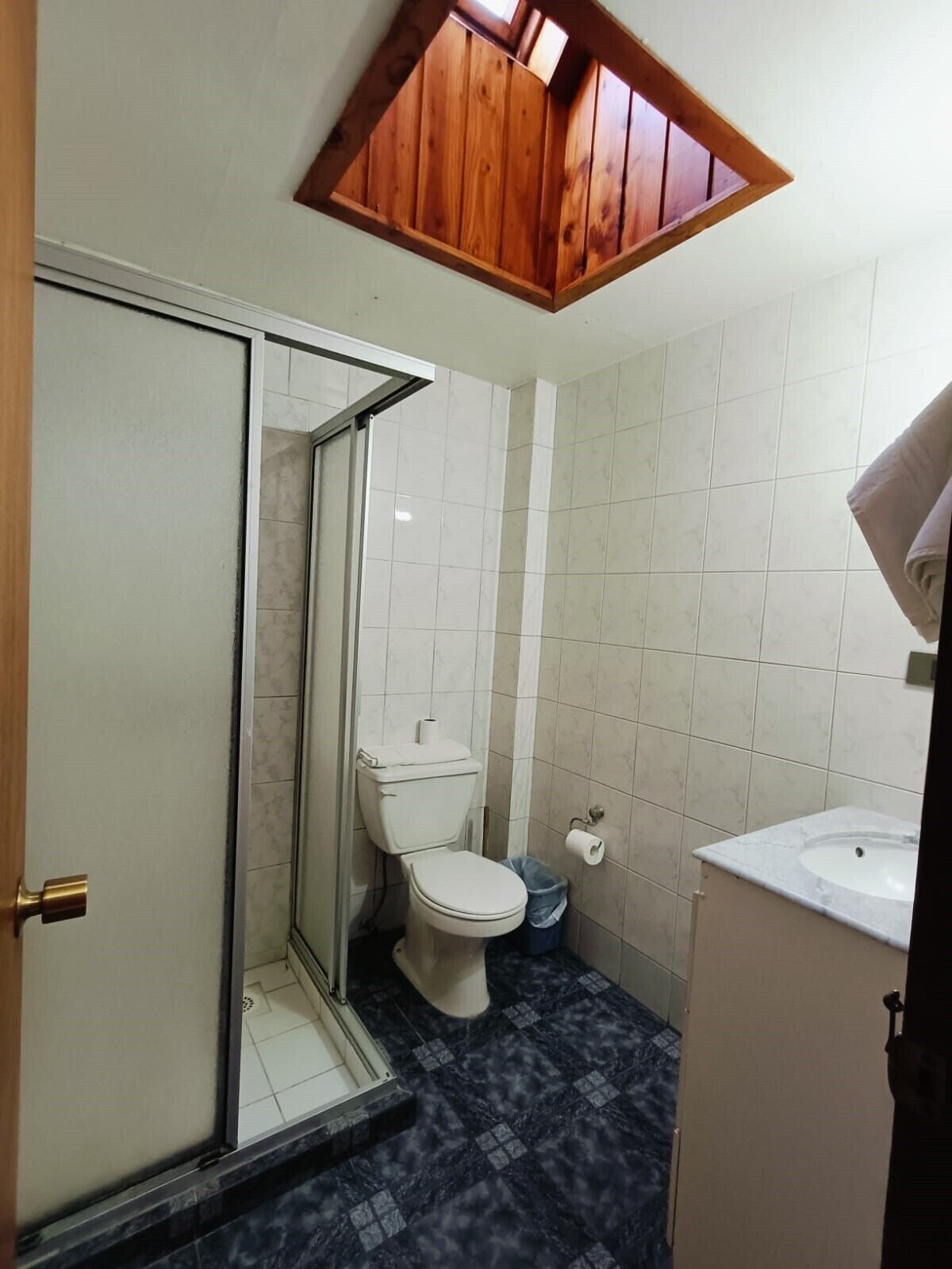 A bathroom with a toilet, sink, and shower area.