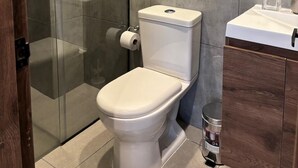 Een moderne badkamer met een glazen douchecabine, een toilet en een wastafel met spiegel.