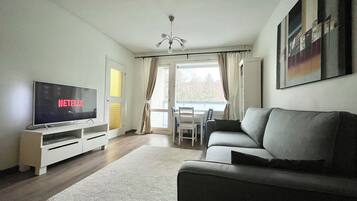 Comfort Apartment | 1 bedroom, free WiFi